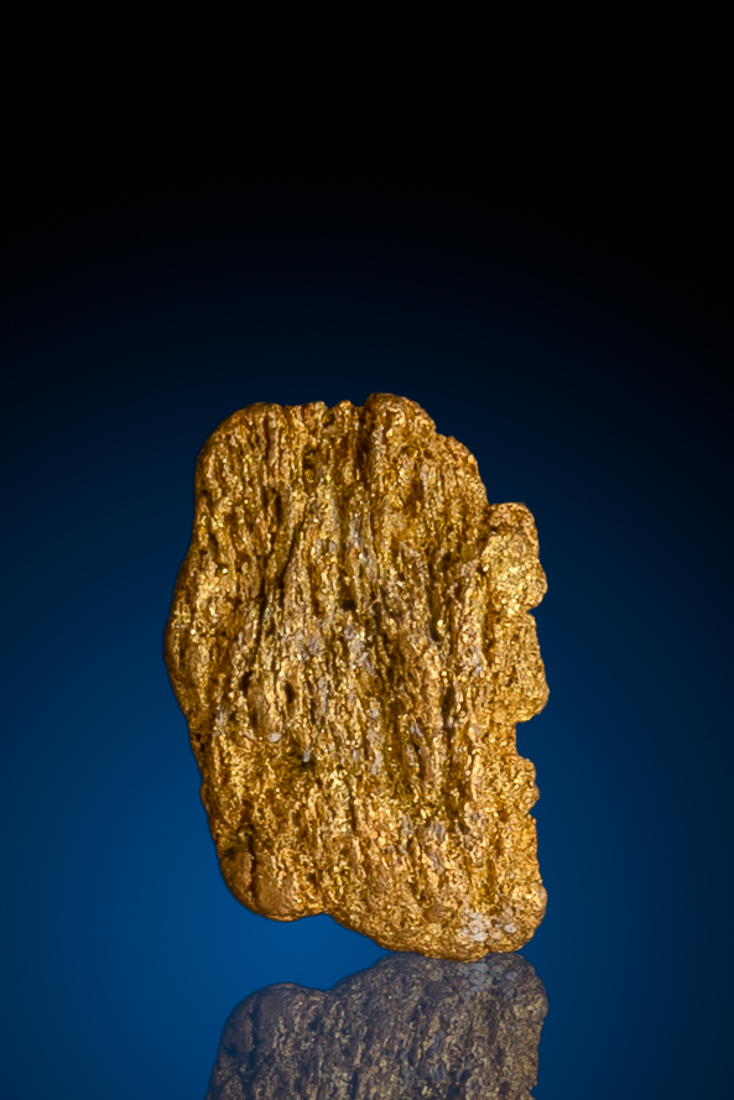 (image for) Striking, Ridged Natural Gold Nugget - Winnemucca, NV - 1.20 grams